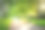 阳光明媚的春夏，林间小径。图片下载