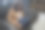 在舒适的家中工作图片下载