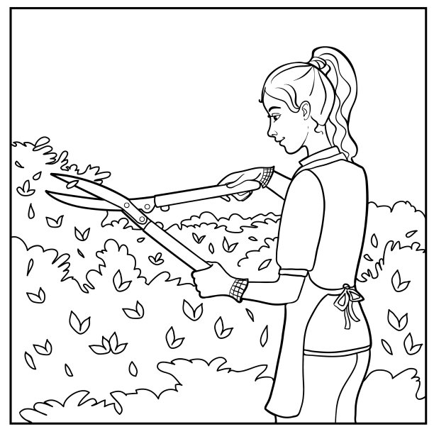 年轻女子正在用大剪刀修剪灌木图片下载