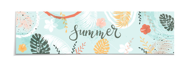 抽象的蓝色横幅与夏季元素图片下载