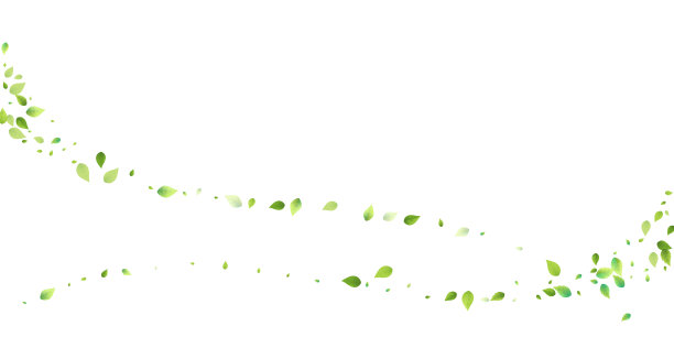 叶绿落飞叶叶茶薄荷图片下载