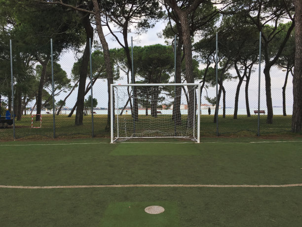 威尼斯的一个足球进球图片下载