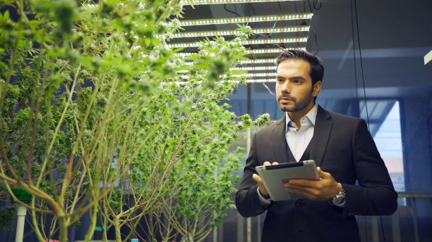 一名从事大麻或大麻植物工作的工人离开农场实验室，到技术、医疗保健、研究概念的实验室分析和开发产品。实验科学。人图片下载