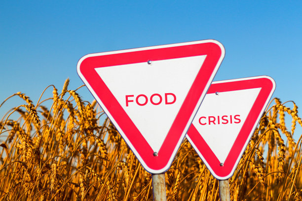 粮食危机的概念。两个红色的路标。离焦空白空白三角形红色警示路标的自然背景。饥饿问题。人类的灾难。欧洲经济。世界设计的制裁。的焦点图片下载