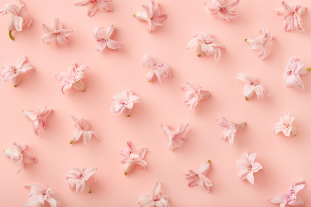 粉红色的花朵图案在粉红色的背景上从上面看。俯视图图片下载