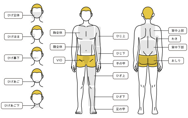 男士脱毛，全身(前后)和脸部区域引导，内衣图片下载