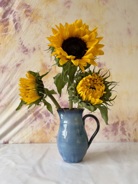 三朵向日葵图片下载