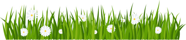 小草郁金香和雏菊绿色的开花草地图片下载