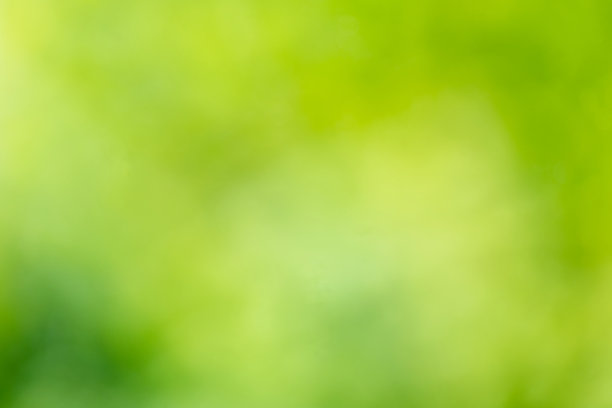 散焦的绿色自然背景图片下载