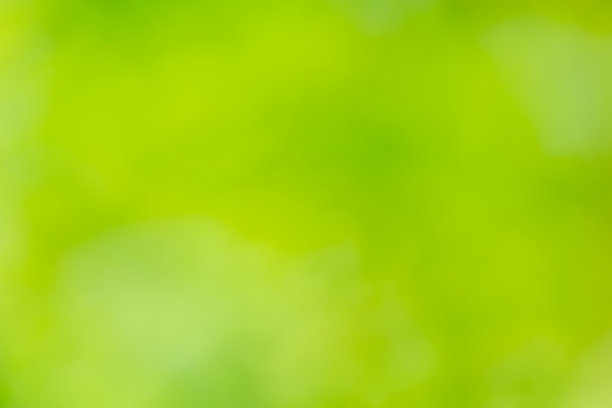 散焦的绿色自然背景图片下载