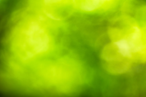 散焦的绿色自然背景图片下载