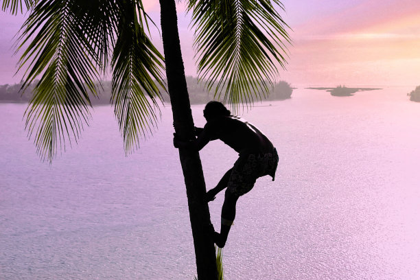 夏威夷的轮廓图片下载