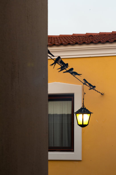 在爱琴海著名的旅游小镇阿拉卡蒂，在传统的爱琴海房屋和街灯之间的电线上看到许多燕子。图片下载