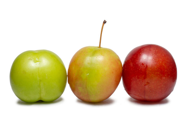 做特克马利酱的李子。几个樱桃李子的果实成熟程度不同。李子品种。多汁的水果。健康的饮食习惯。图片下载