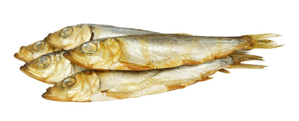 金色鲱鱼，白色背景下的烟熏海鱼。图片下载