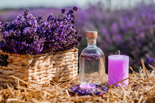 在普罗旺斯的田野里，篮子里放着美丽的薰衣草，薰衣草水和蜡烛。收获季节图片下载
