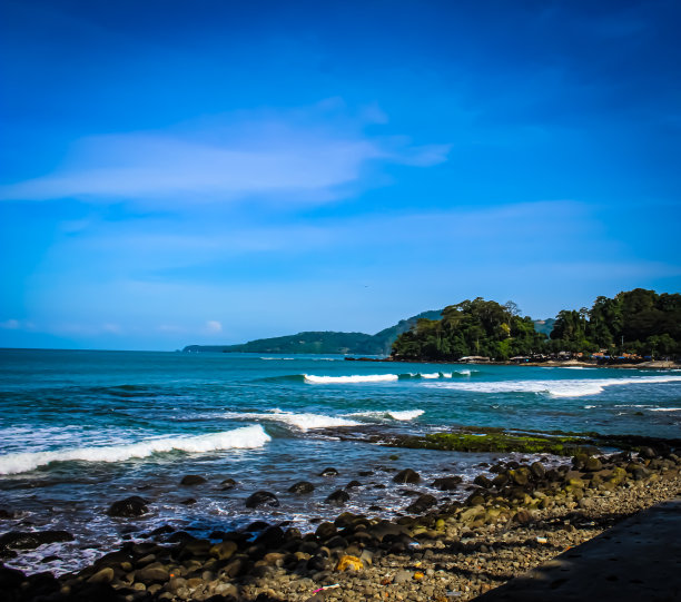 海滩边的树木和定居点图片下载