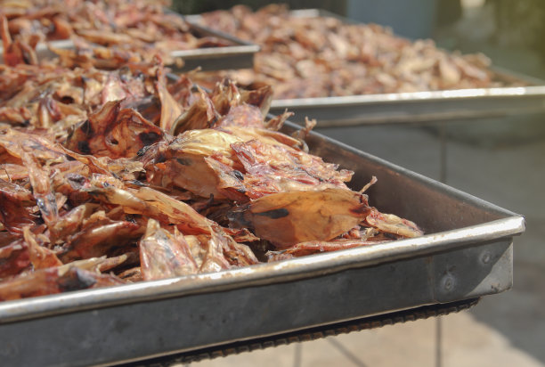 鱿鱼干是海产品加工，传统的虾干生产方法是在阳光下晾干。图片下载