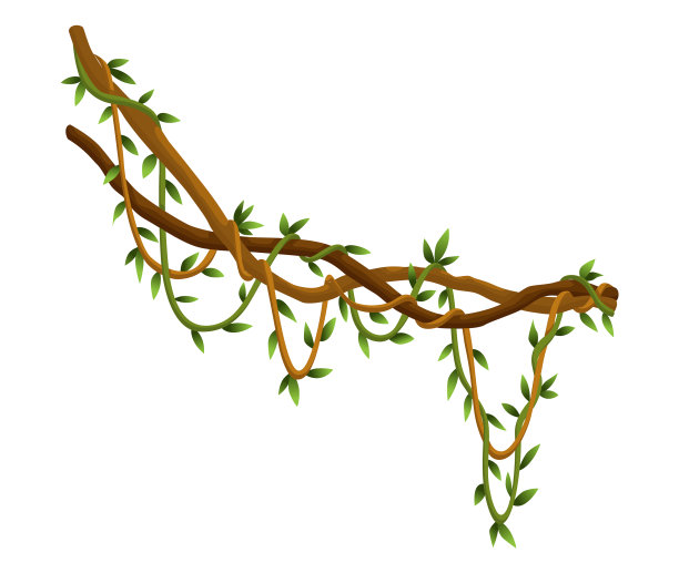 扭曲的野生藤本植物枝条旗帜丛林藤蔓图片下载