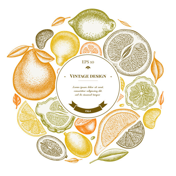 柑橘花环设计手绘金桔柠檬图片下载