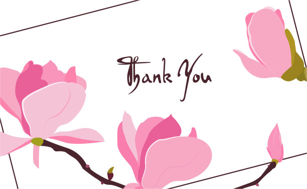 一套盛开的日本木兰枝。美丽的框架感谢文字，婚礼邀请，网页横幅。可编辑的矢量图图片下载