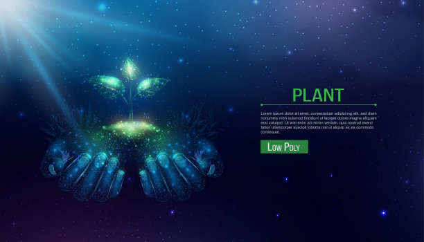 两个人的手正捧着嫩芽。发光低聚手和植物在深蓝色的背景。线框低多边形设计。抽象的未来矢量插图。图片下载