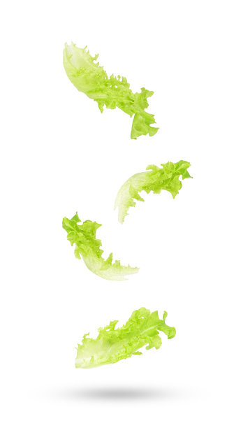 新鲜的沙拉，绿色的生菜叶子在空气中飘落，孤零零的白色图片下载