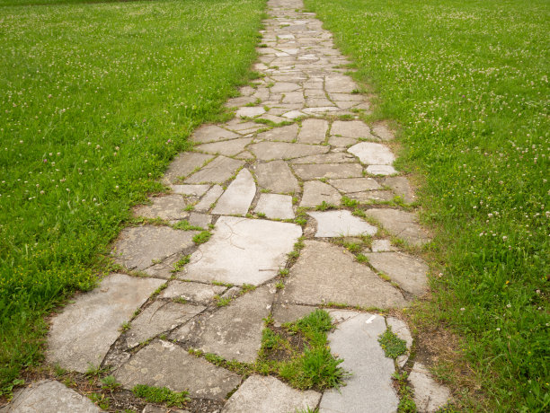 在公园里铺设石板。图片下载