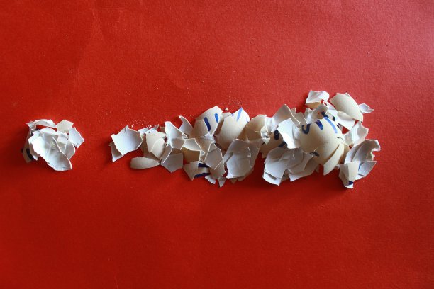 鸡蛋壳图片下载