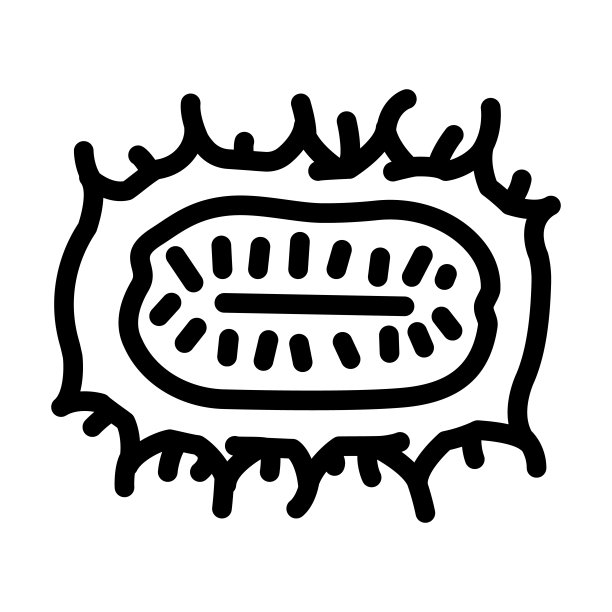 安古里亚黄瓜线图标矢量插图图片下载