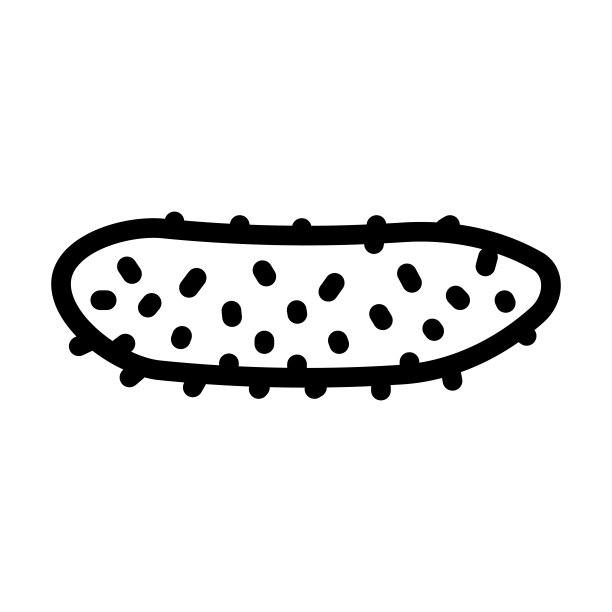 小黄瓜线图标矢量插图图片下载