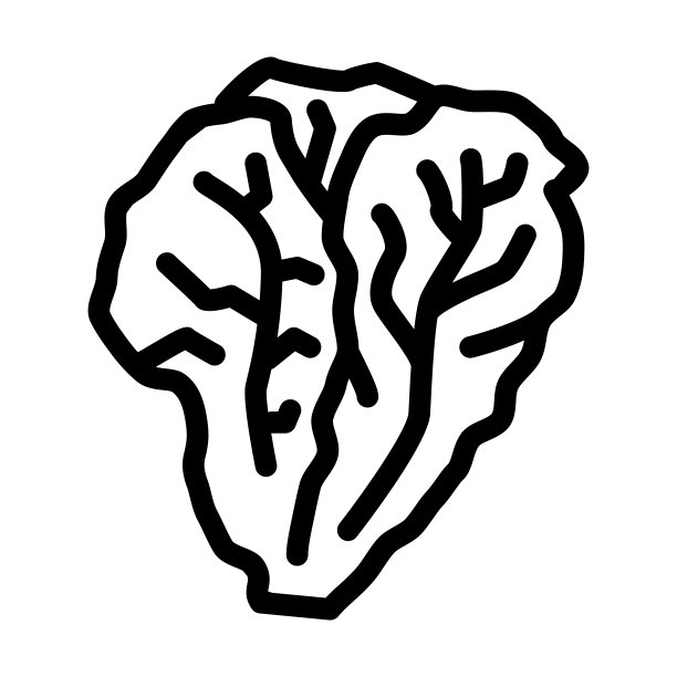生菜绿线矢量图标插图图片下载