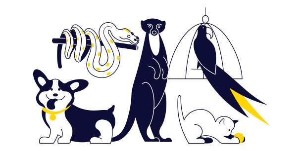 在白色背景上隔离的宠物组成组图片下载