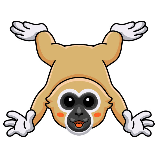 可爱的白手长臂猿卡通姿势图片下载