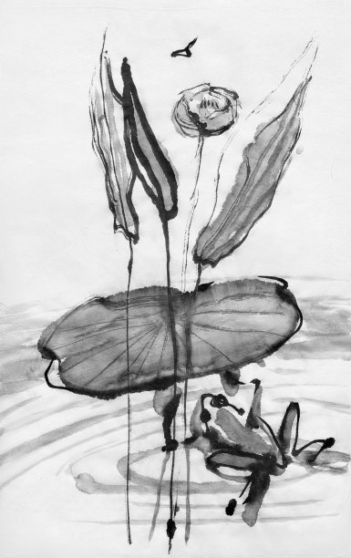 青蛙，睡莲和蚊子。烟灰墨。图片下载