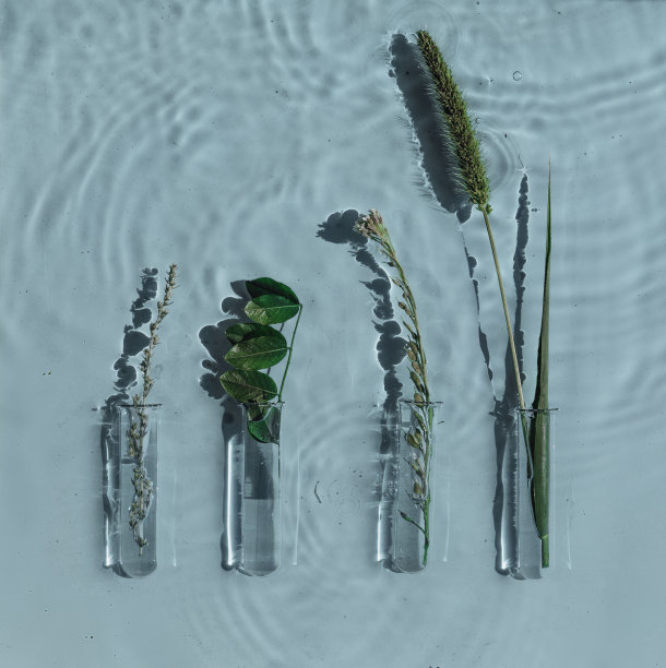 在水面上的实验室中用有机天然草药替代草药。科学美容实验室概念。美容研究图片下载