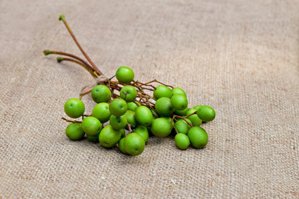 黄麻织物上的楝树种子。印楝植物的果实。阿育吠陀草药。印度楝果用于阿育吠陀治疗。图片下载