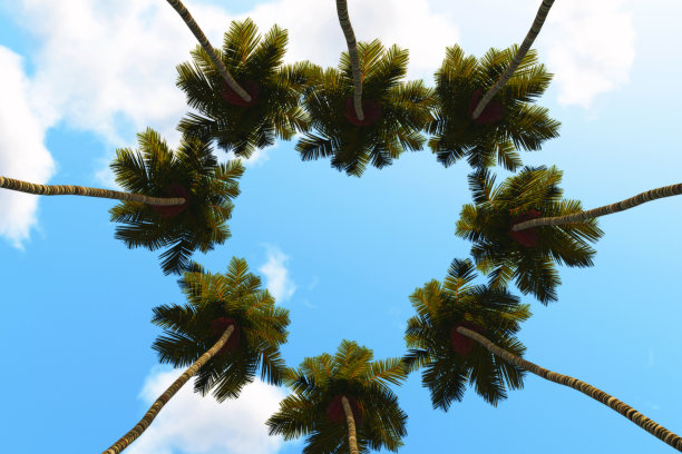 手掌剪影向上看图片下载