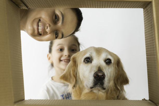 打开纸板箱图片下载