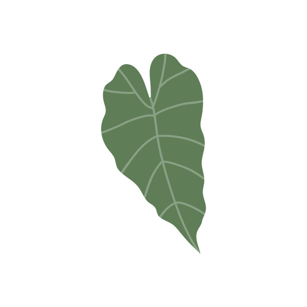 手绘平图片下载