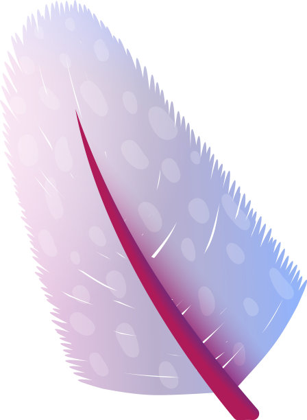 羽毛羽毛光滑，色彩艳丽的观赏鸟图片下载