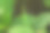 大自然。昆虫。蜜蜂。花。蝴蝶。图片下载