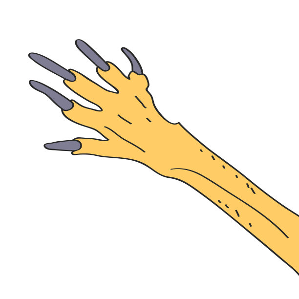 画一只袋鼠爪子的特写图片下载