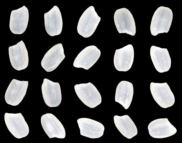 特写宏，高分辨率。生糙米，日本短粒越光米。用来做寿司，图片下载