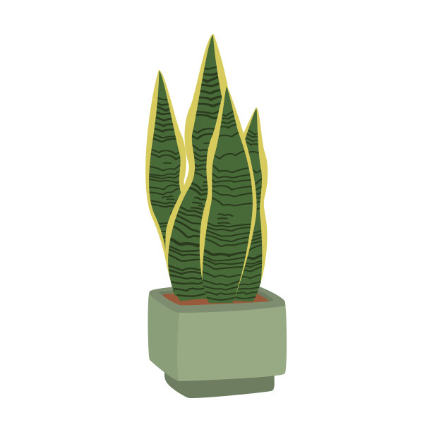 盆栽绿色植物手绘图图片下载