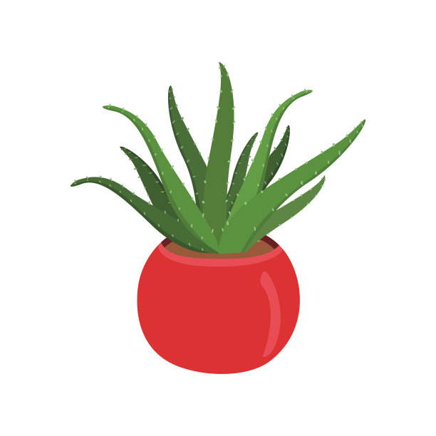 盆栽绿色植物手绘图图片下载