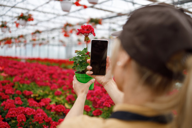 一名女子在温室里拍摄鲜花，准备在社交媒体上出售图片下载
