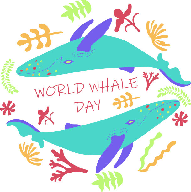 世界鲸日图片下载