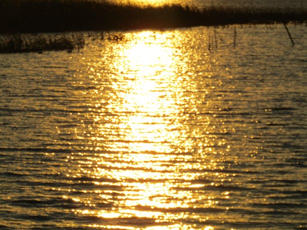 日本。1月底。湖面在湖面上。图片下载