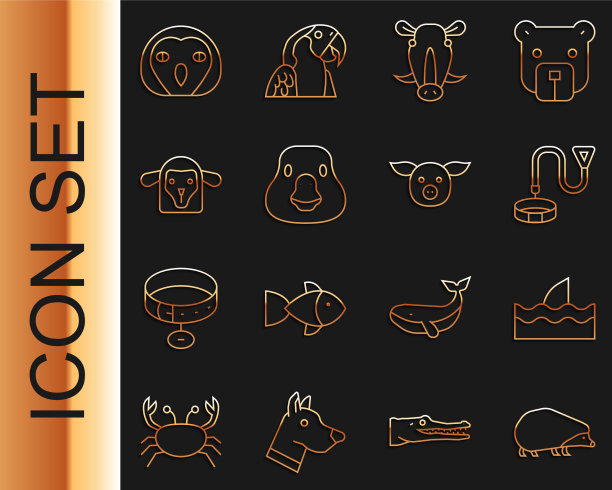 在海浪项圈中设置线刺猬鱼翅图片下载